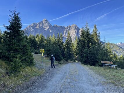 Photo de branka le long du parcours