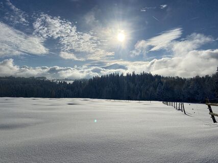 Foto fra Richard Bronold underveis på turen