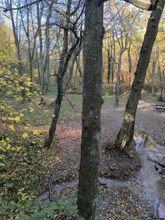 Zdjęcie z Forintos László wzdłuż trasy