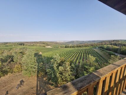 Szekszárd, Dunántúl/Magyarország
