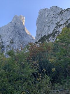 Foto da Wilhelm Böning lungo il tour