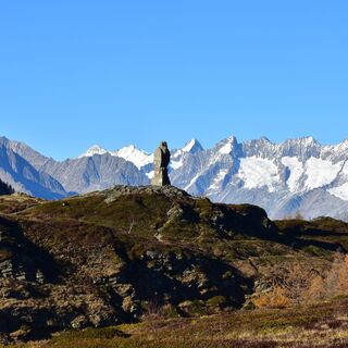 Steinadler Simplonpass