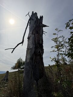 Foto de Gerti Glettler a lo largo del recorrido