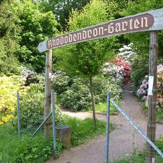 Eingang zum Rhododendron Garten