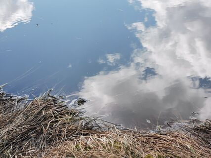 Fotografija s spletne strani Steinbock na poti