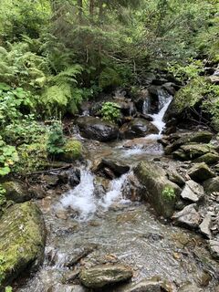 Kuva osoitteesta RdG1959 matkan varrella