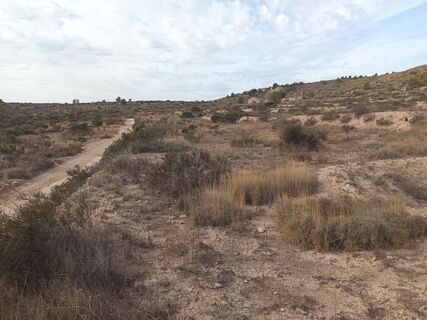 Foto von A.G. entlang der Tour