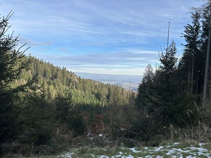 Fotografia z Christian Bozsoki na trase