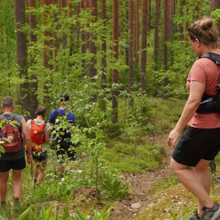 Der Harjupolku in Janakkala ist eine großartige Strecke im Rückenmarkgebiet.