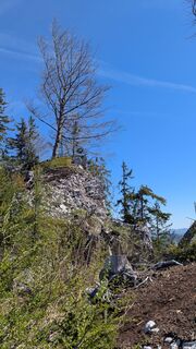 Foto von Ziegler Em1304 entlang der Tour