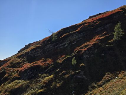 Foto von Monika Rohrer entlang der Tour