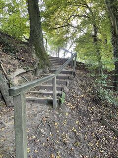 Fotografia z Thorsten Schulze na trase