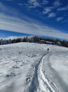 Fotografia z Hubert Schwaighofer na trase