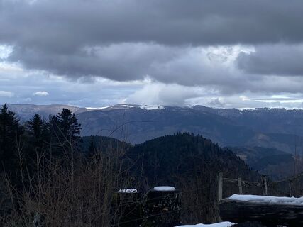 Fotografija s spletne strani Ludovic Beauchet na poti