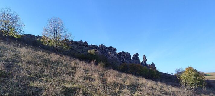 Foto von Betzenbergfex entlang der Tour