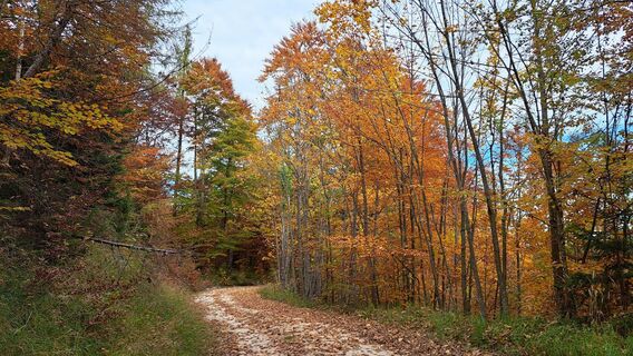 Fotografia z Gerhard Faugel na trase