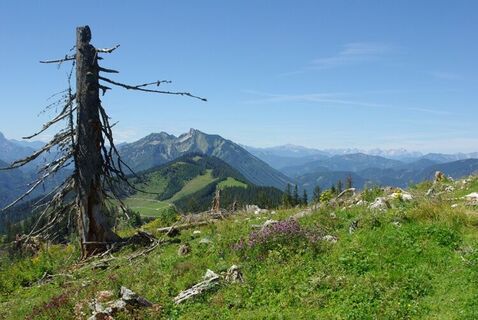 Haute Route 11. Etappe: Göstling – Hollenstein