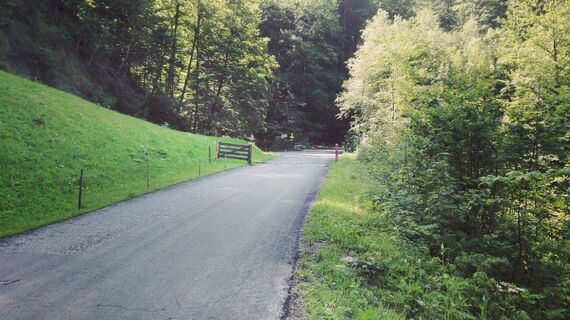 Wildenbachschlucht