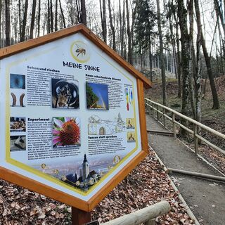 Bienenlehrpfad Informationstafel_St. Ruprecht an der Raab_Oststeiermark