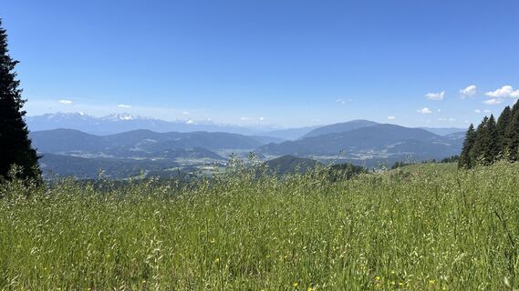 Foto de Ma Wa a lo largo del recorrido