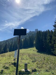 Fotografia z Edwin Wulz na trase