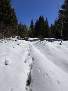 Foto von Rowena Raubach entlang der Tour