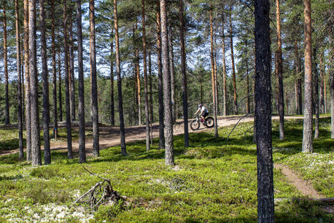 Das Gelände auf der 15 km langen Hummastinvaara-Route in Raahe ist abwechslungsreich
