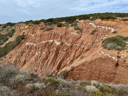 Фото с сайта Heike Hadamus во время экскурсии