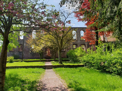 Klosterruine Frauenalb