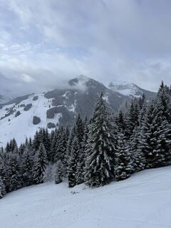 Fotografija s spletne strani Martijn Schijvenaars na poti