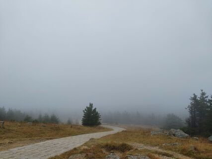 Photo de Jens Gebauer le long du parcours