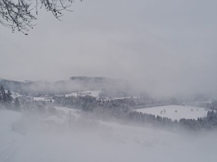 Fotografia z Lang Karl 1962 na trase