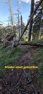 Photo de Günzi le long du parcours
