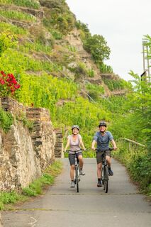 Mosel-Radweg bei Winningen 2