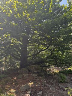 Foto von Andreas Endres 1 entlang der Tour