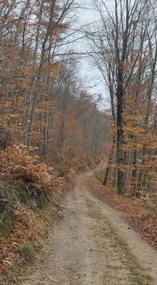 Foto de János Zsolt Mahr a lo largo del recorrido