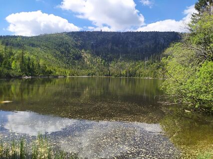 Photo de Petulle22 le long du parcours