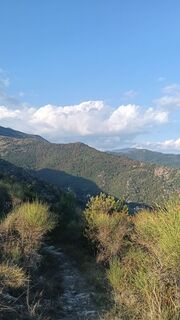 Photo de Montys le long du parcours