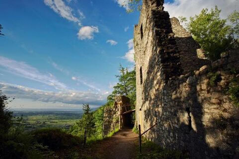 Ruine Alt Ems