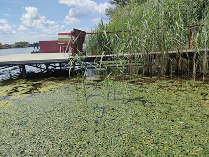Foto de Annamária Bánki a lo largo del recorrido