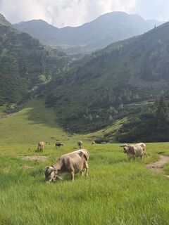 Photo de Sabine Stueer le long du parcours