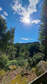 Photo de Anita Lunzer 1 le long du parcours