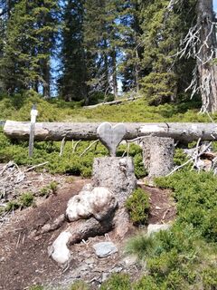 Foto von Wolfgang0 entlang der Tour