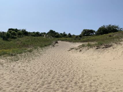 Fotografija s spletne strani Koen De Wit na poti