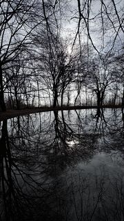 Fotografija s spletne strani ROBERTO BONIOTTI na poti