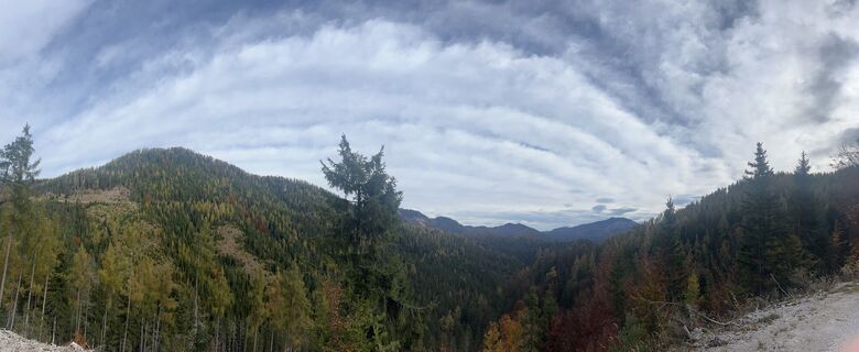 Fotografija s spletne strani tabaszabi na poti