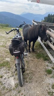 Foto von Wollmann entlang der Tour