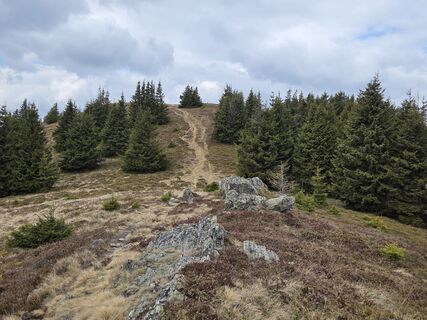 Foto von Zahrni78 entlang der Tour