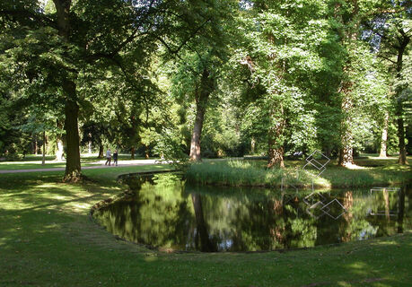 Im Klever Forstgarten