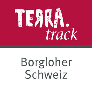 Logo TERRA.track Borgloher Schweiz